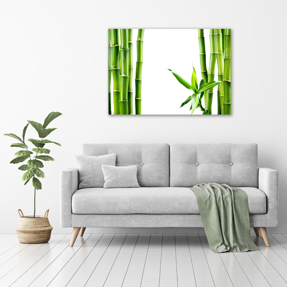 Acrylic wall art Bamboo