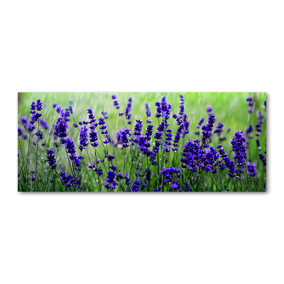 Acrylic wall art Lavender