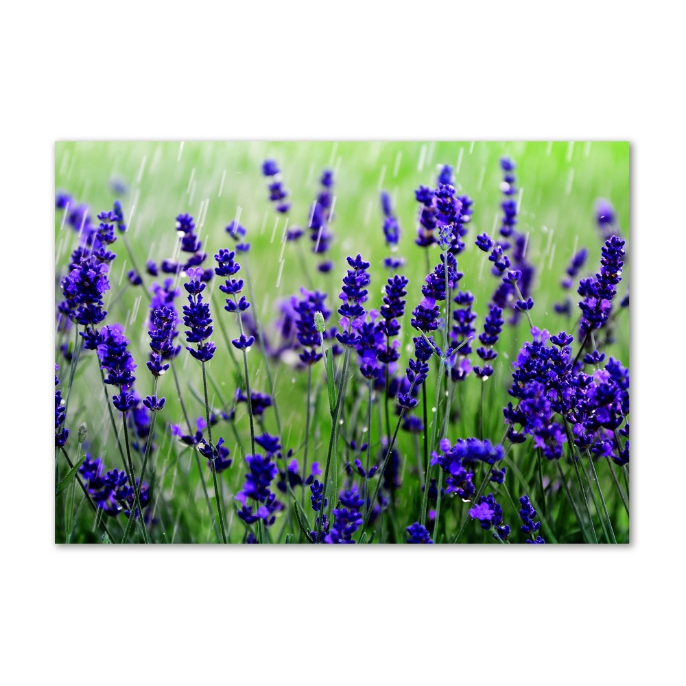 Acrylic wall art Lavender