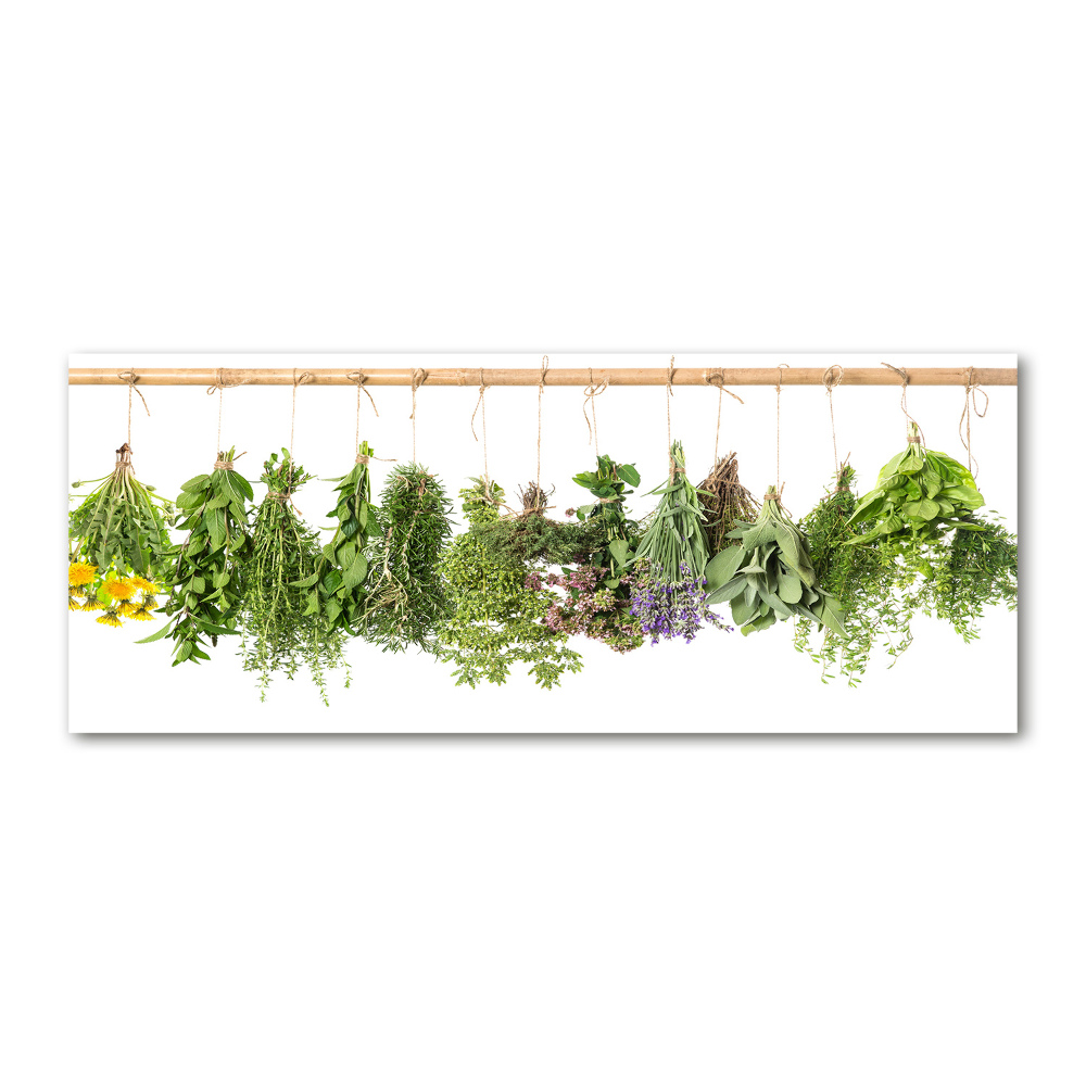 Print on acrylic Herbs on a string