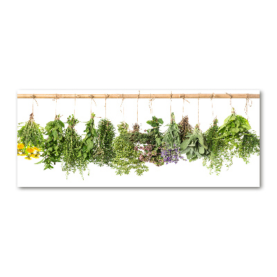 Print on acrylic Herbs on a string