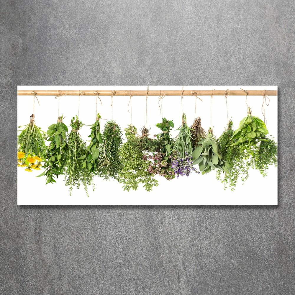 Print on acrylic Herbs on a string