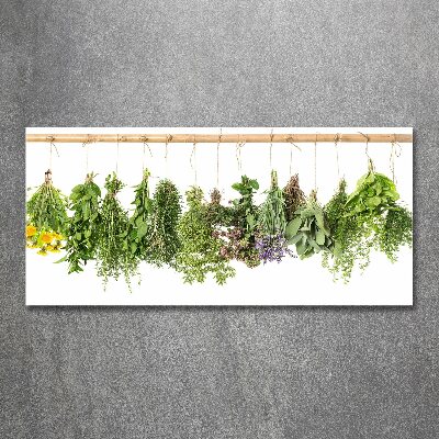 Print on acrylic Herbs on a string