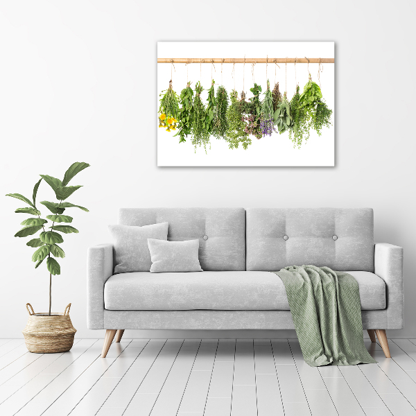 Print on acrylic Herbs on a string