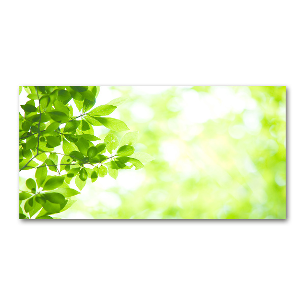 Wall art acrylic Leaves