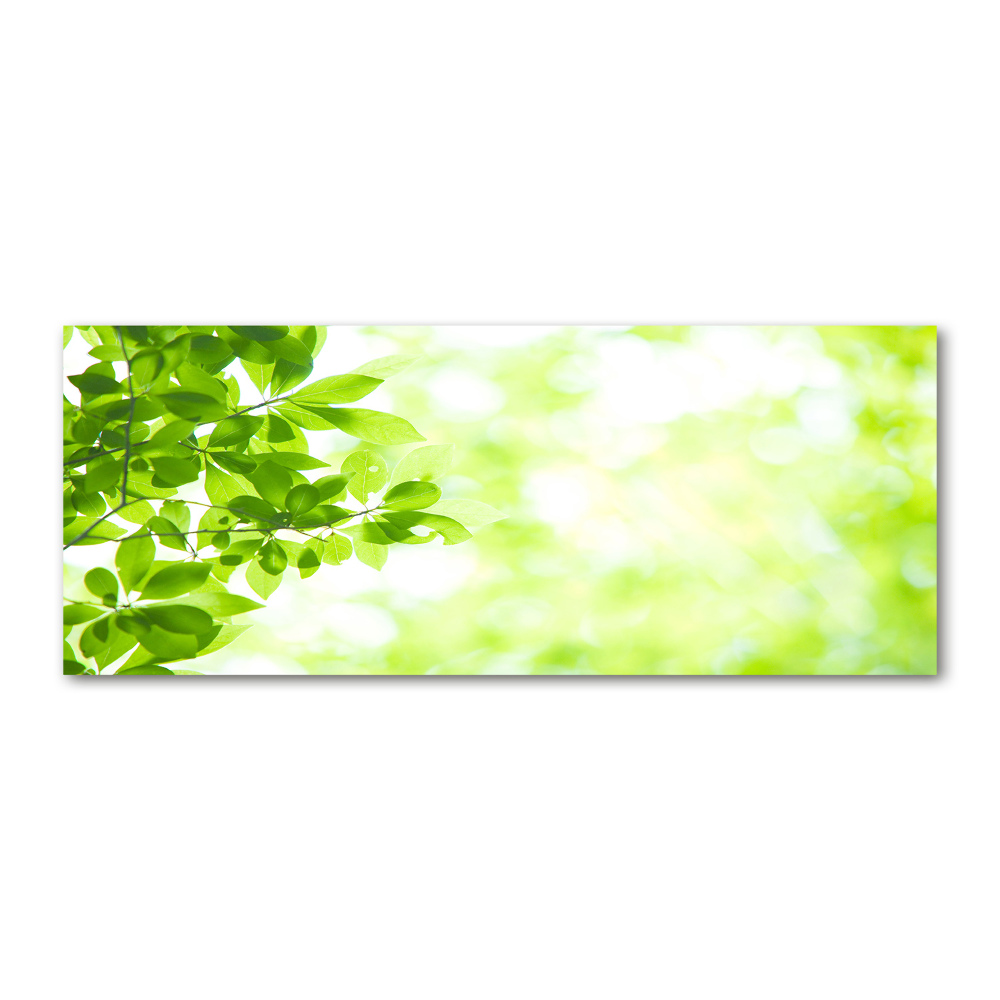 Wall art acrylic Leaves