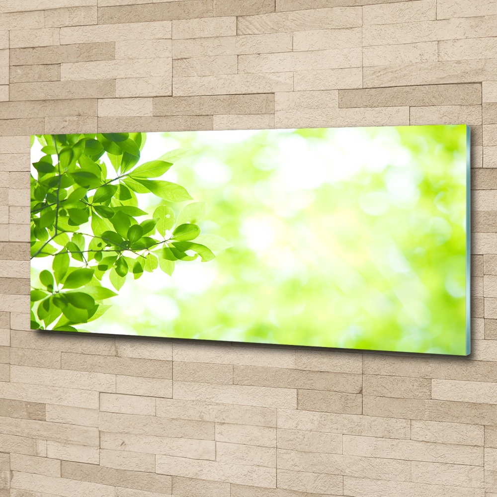 Wall art acrylic Leaves