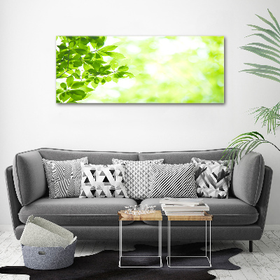 Wall art acrylic Leaves