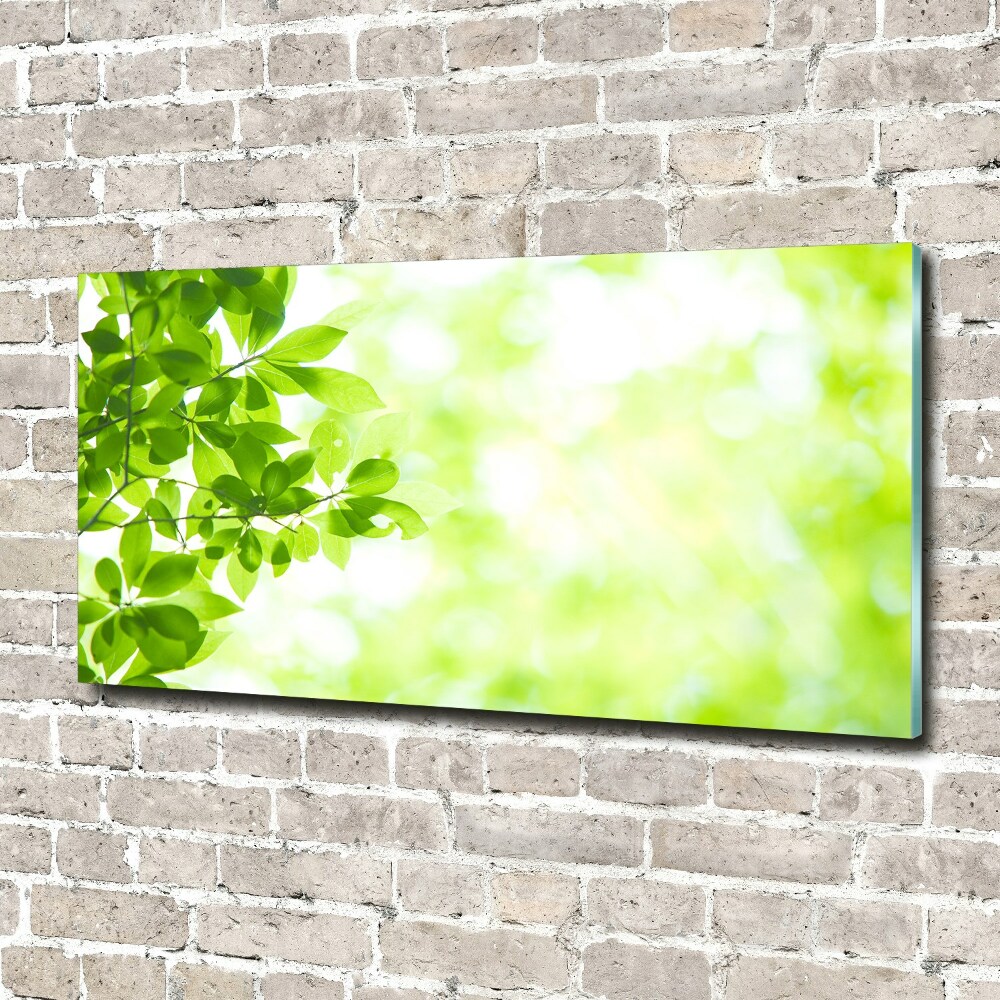 Wall art acrylic Leaves