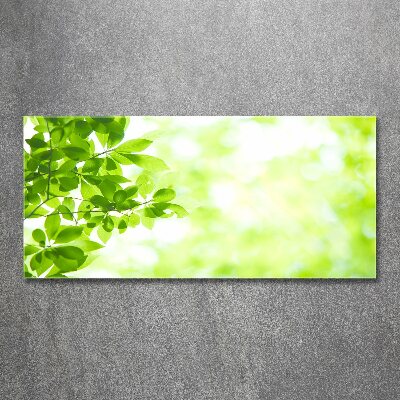 Wall art acrylic Leaves