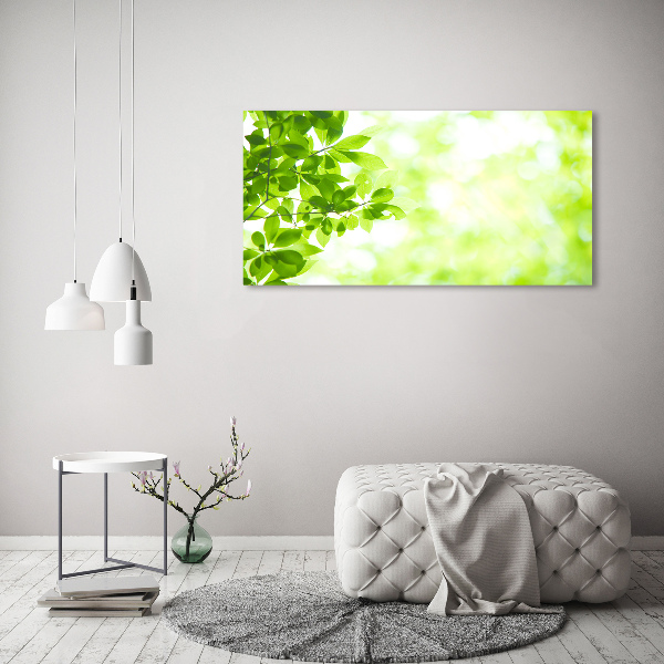 Wall art acrylic Leaves