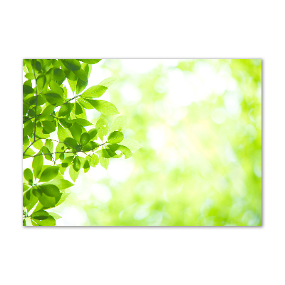 Wall art acrylic Leaves