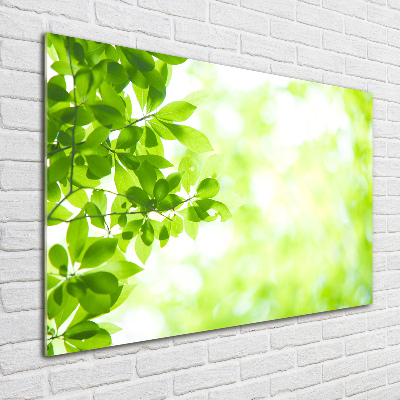 Wall art acrylic Leaves