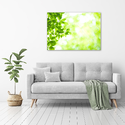 Wall art acrylic Leaves