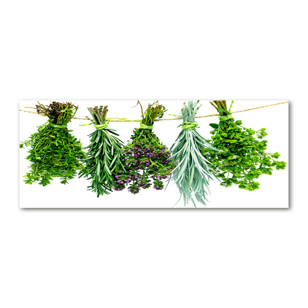 Print on acrylic Herbs on a string