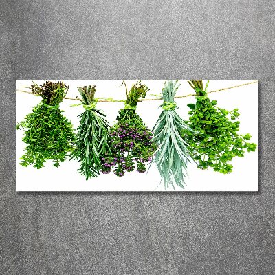 Print on acrylic Herbs on a string