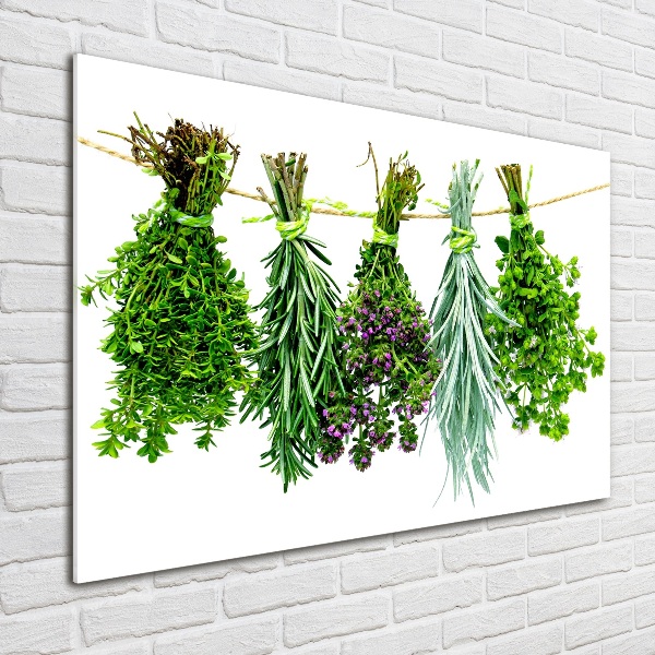 Print on acrylic Herbs on a string