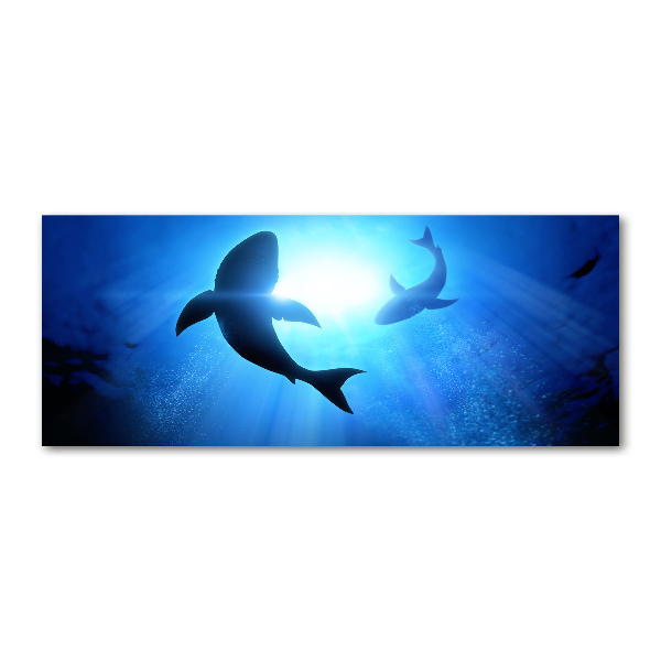 Wall art acrylic Two sharks