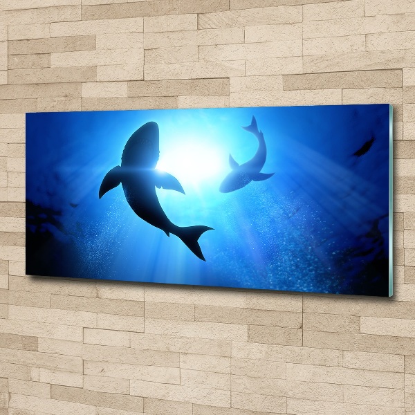 Wall art acrylic Two sharks