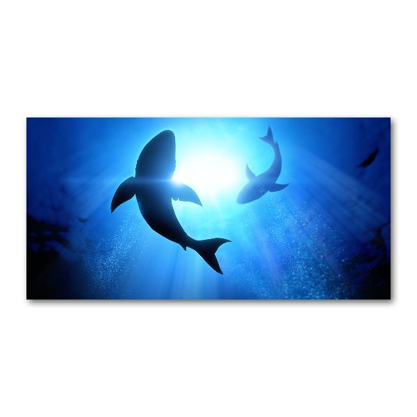 Wall art acrylic Two sharks