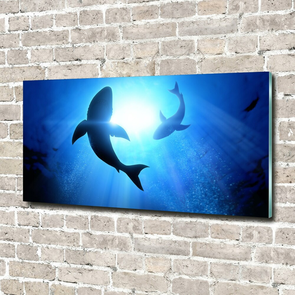 Wall art acrylic Two sharks