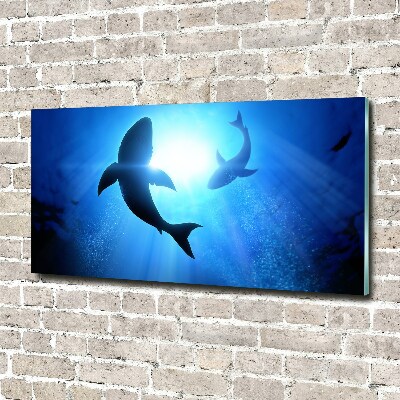 Wall art acrylic Two sharks