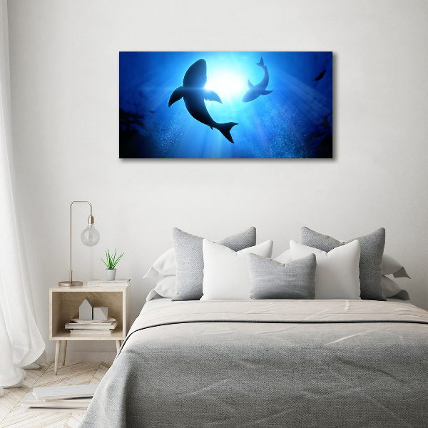 Wall art acrylic Two sharks