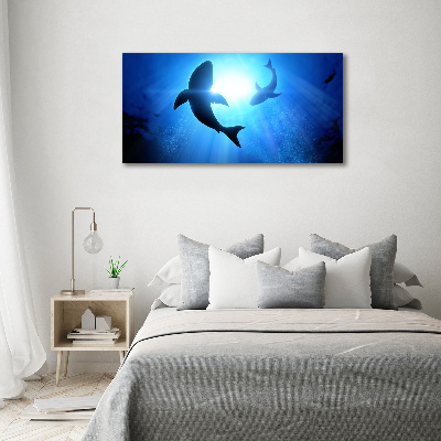 Wall art acrylic Two sharks