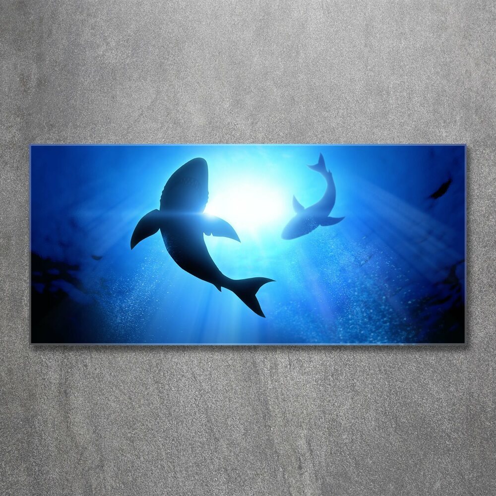 Wall art acrylic Two sharks