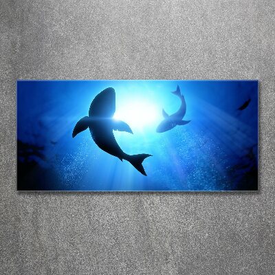 Wall art acrylic Two sharks