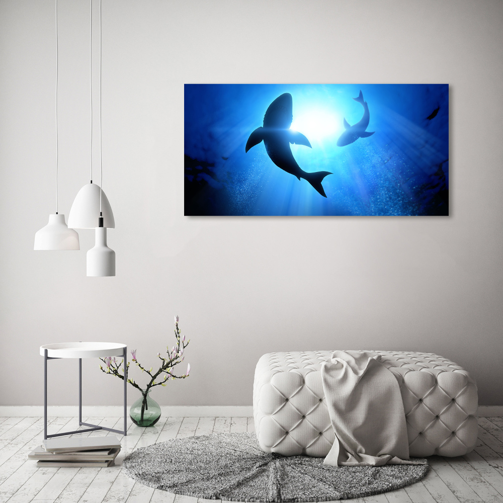 Wall art acrylic Two sharks