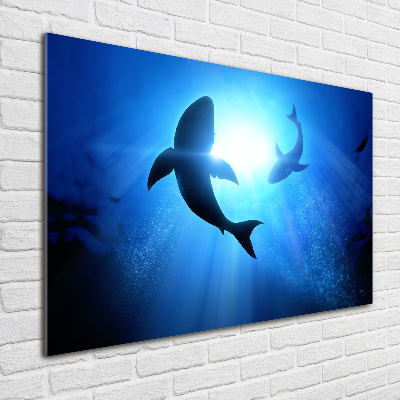 Wall art acrylic Two sharks