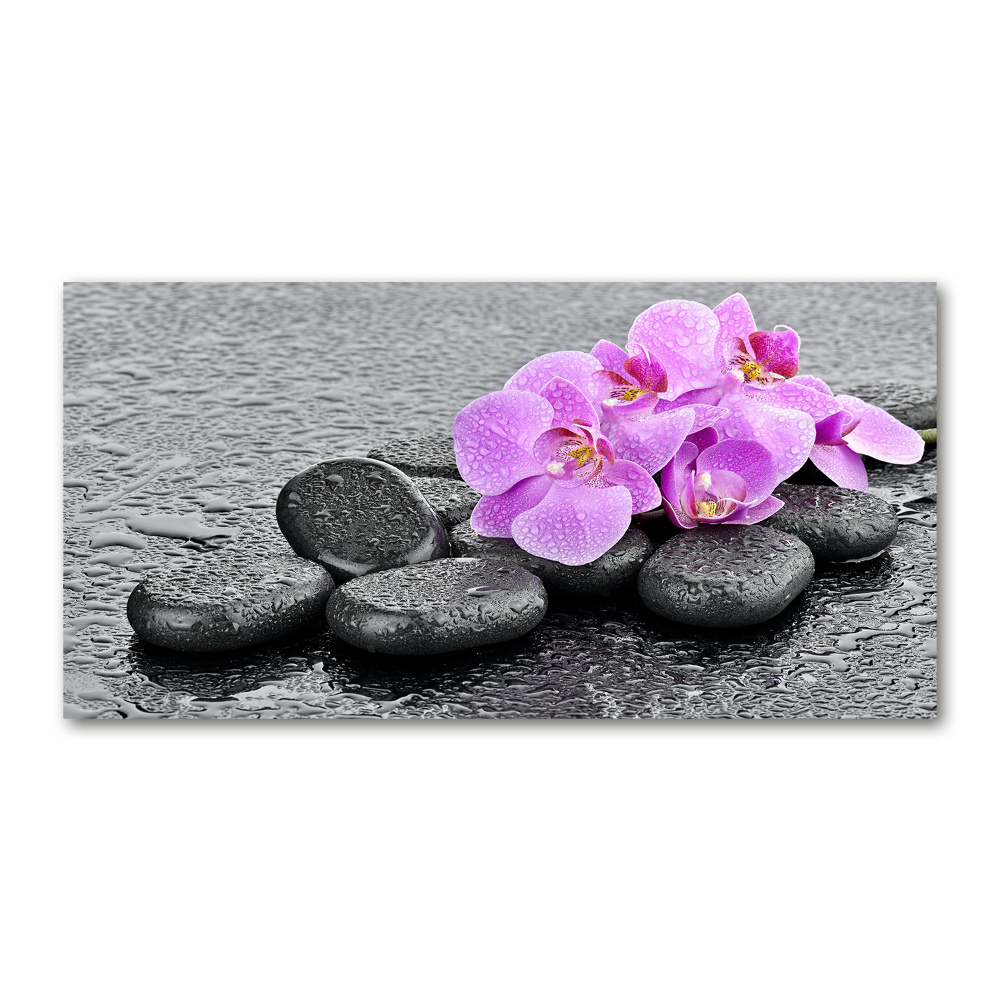 Wall art acrylic Stones orchids