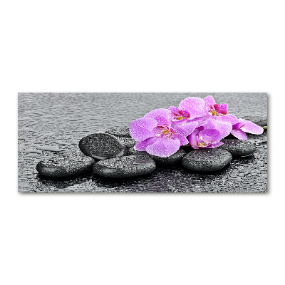 Wall art acrylic Stones orchids