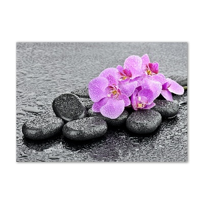 Wall art acrylic Stones orchids