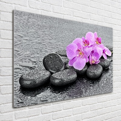 Wall art acrylic Stones orchids