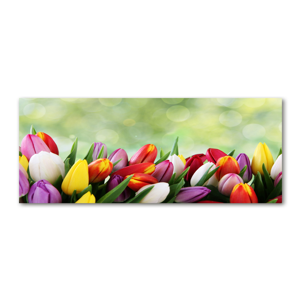 Wall art acrylic Colorful tulips