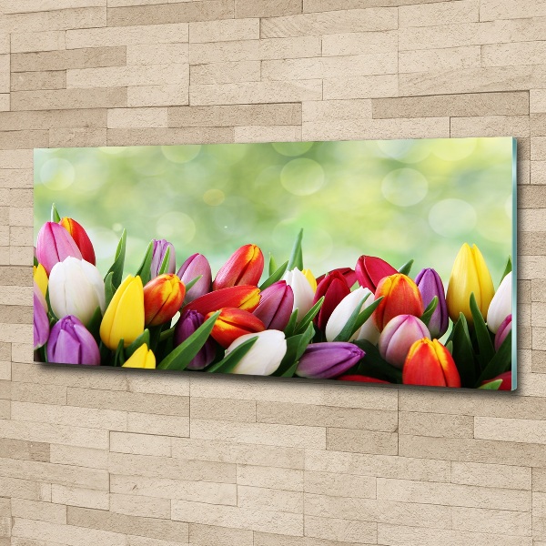 Wall art acrylic Colorful tulips