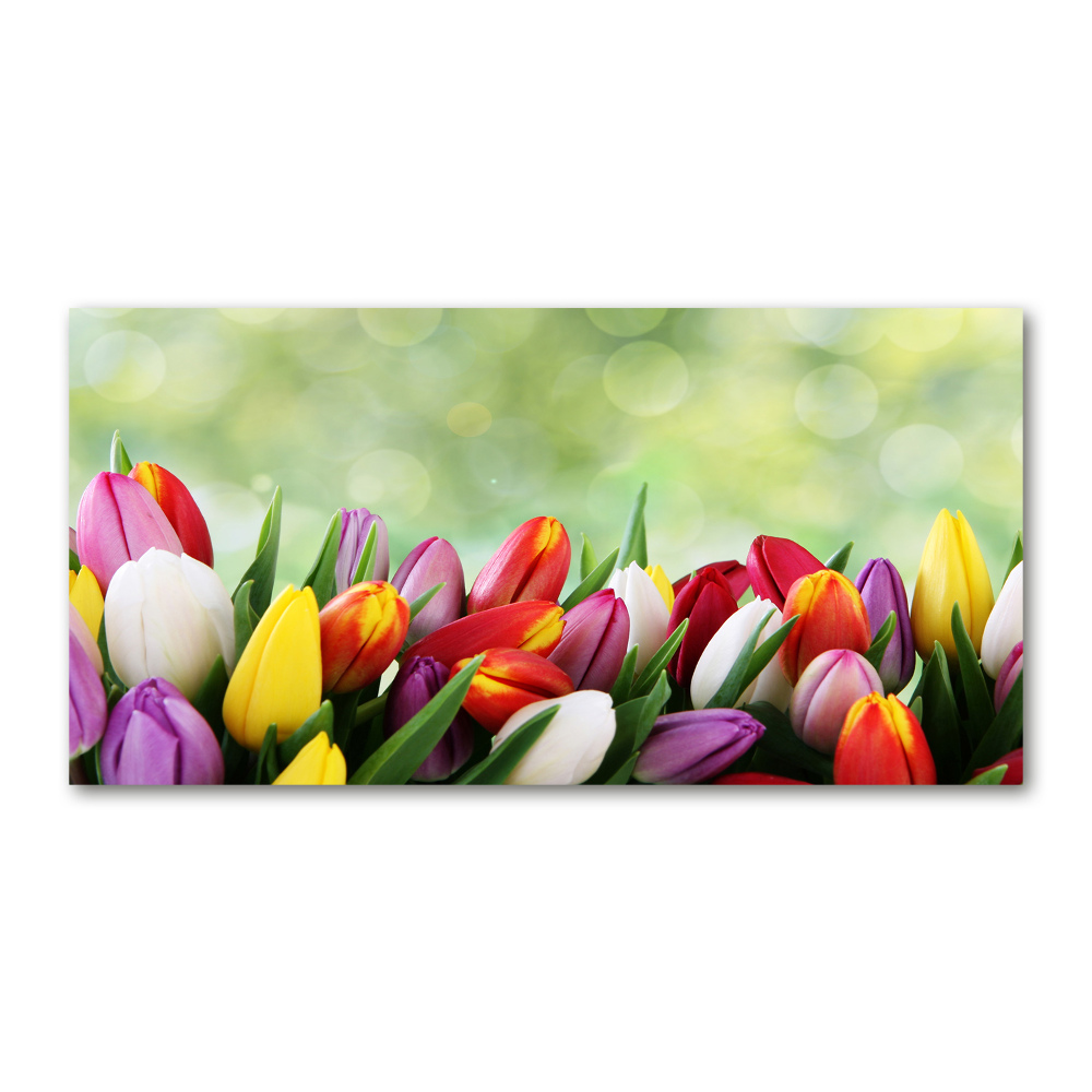 Wall art acrylic Colorful tulips