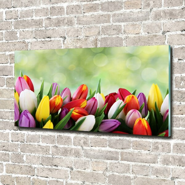 Wall art acrylic Colorful tulips