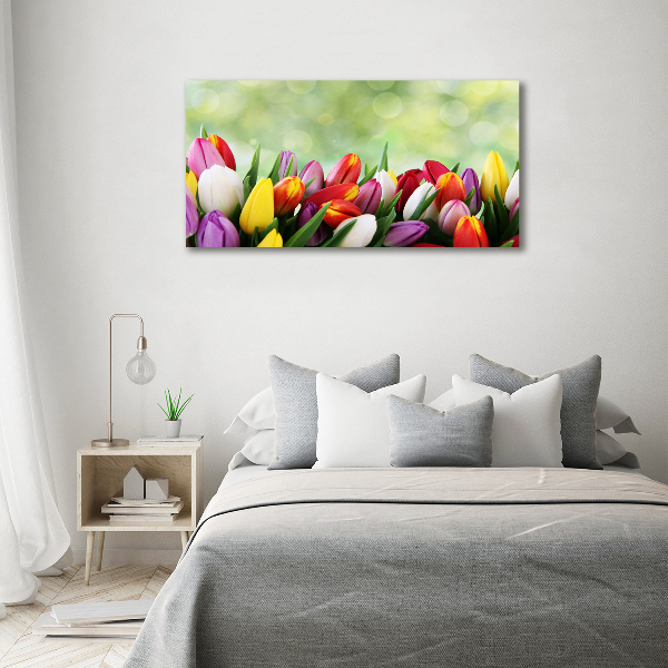 Wall art acrylic Colorful tulips