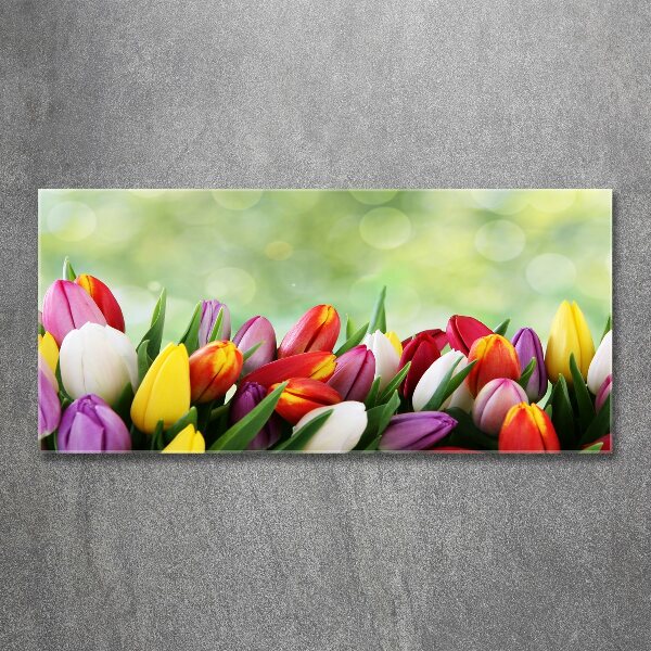 Wall art acrylic Colorful tulips