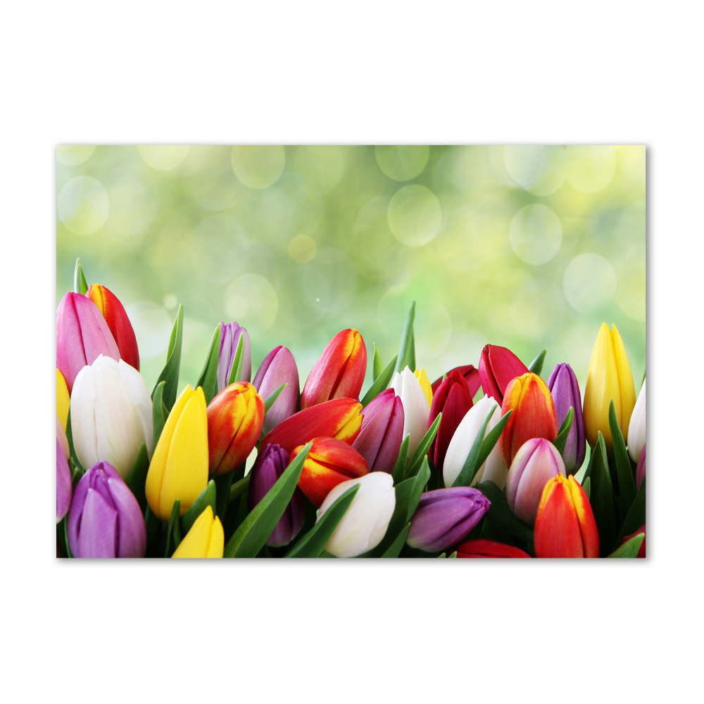 Wall art acrylic Colorful tulips