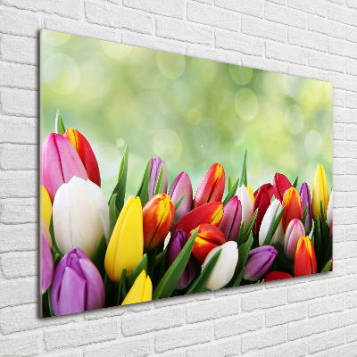 Wall art acrylic Colorful tulips