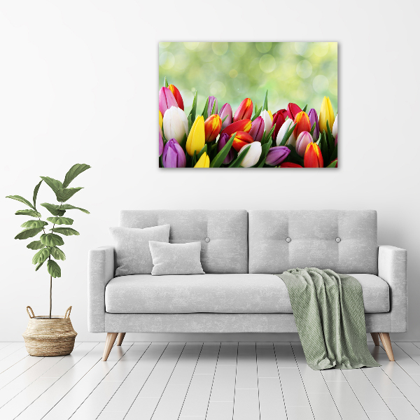 Wall art acrylic Colorful tulips