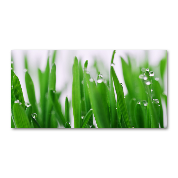 Acrylic wall art Blade of grass