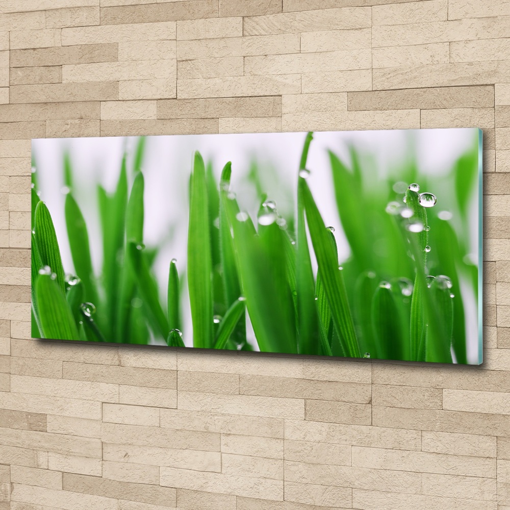 Acrylic wall art Blade of grass