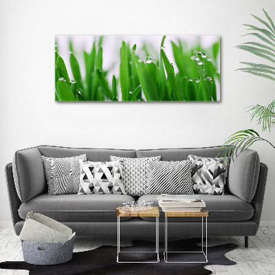 Acrylic wall art Blade of grass