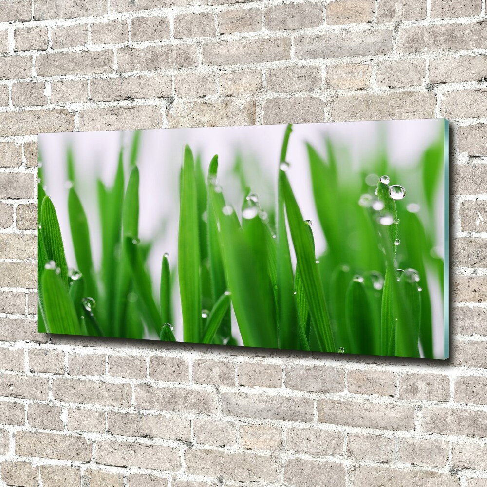 Acrylic wall art Blade of grass