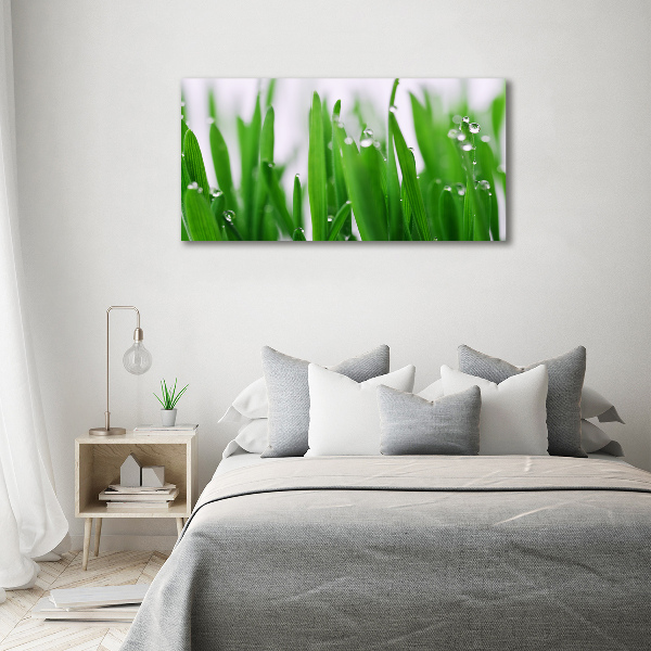 Acrylic wall art Blade of grass